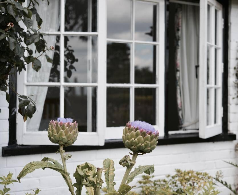 Highfield Lodge Tring Exterior foto